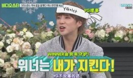 yg最新爆料,明星幕后故事与公司内幕大曝光！